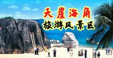 被诱惑大鸡巴操逼海南三亚-天崖海角旅游风景区